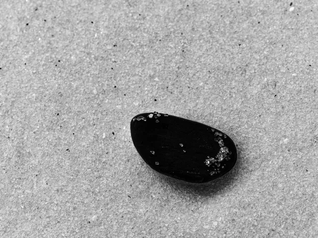 Shaligram
