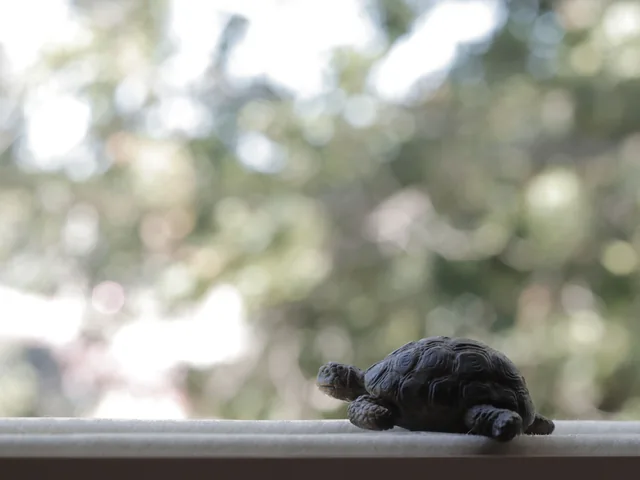 Brass Tortoise (Kachua)